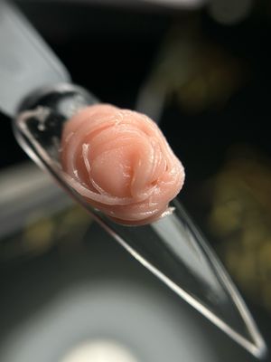 polygel #31