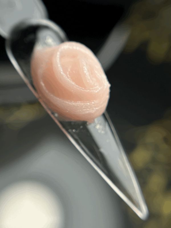 polygel #36