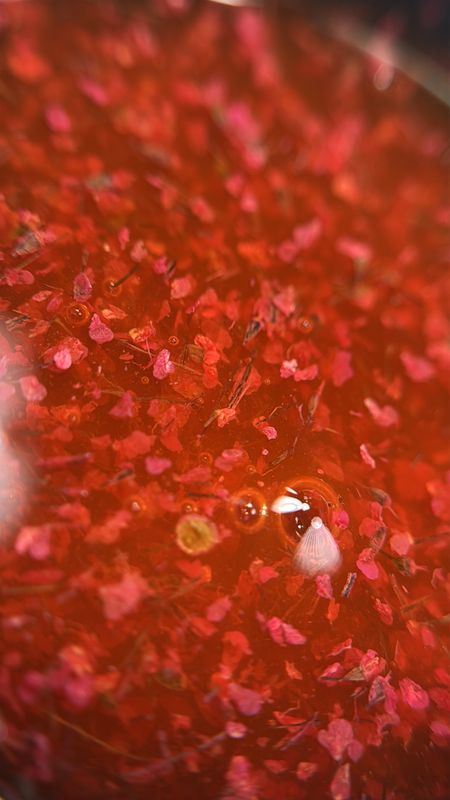 Glass Garden Builder Gel #3