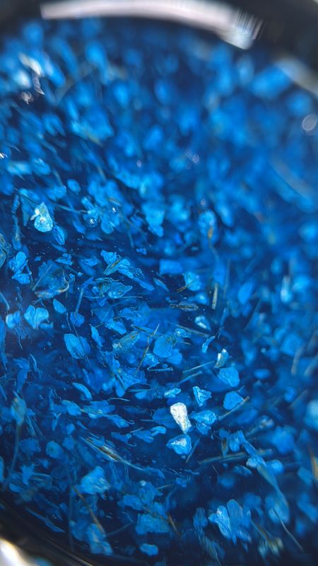 Glass Garden Builder Gel #6