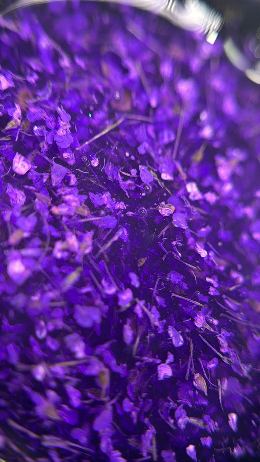 Glass Garden Builder Gel #4