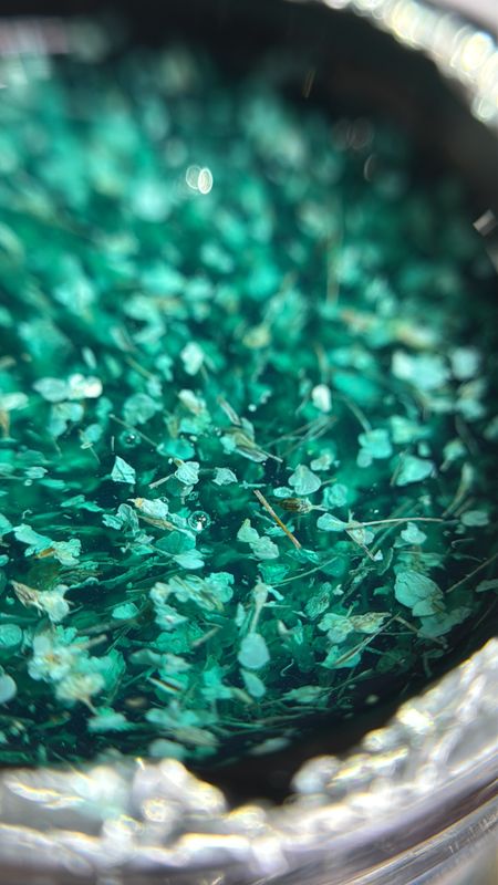 Glass Garden Builder Gel #5