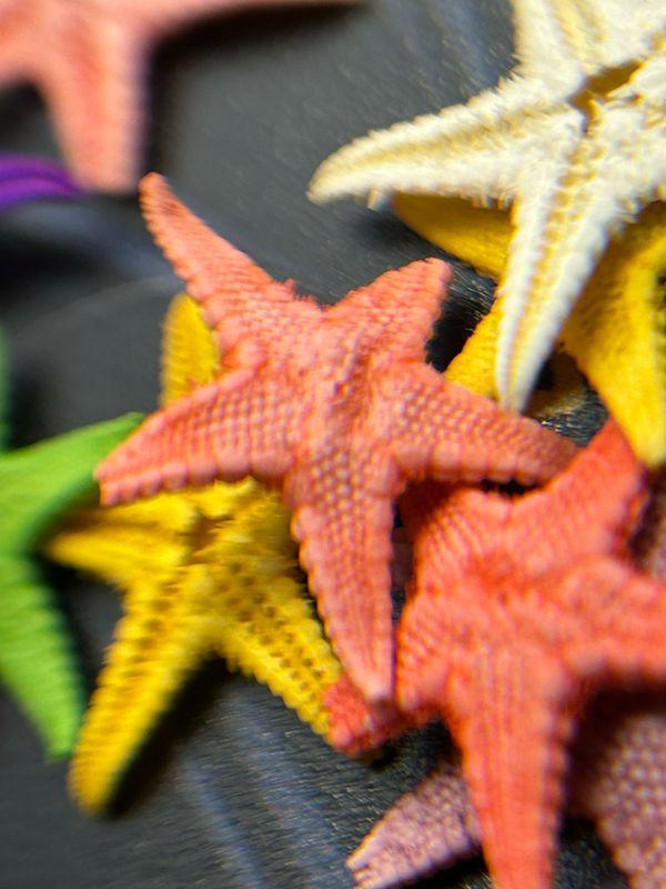 Starfish Natural Nail Art colors
