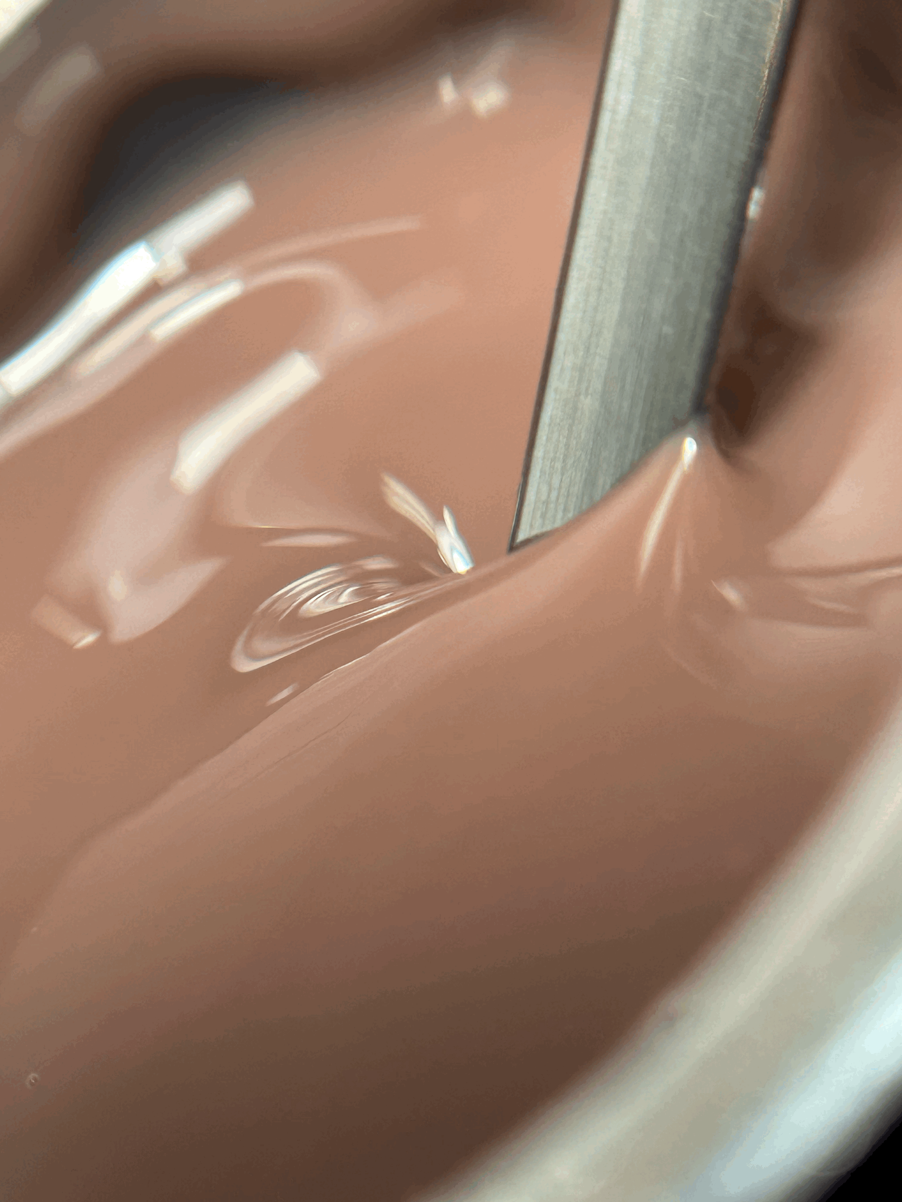 Jaguar (SAVAGE COLLECTION)