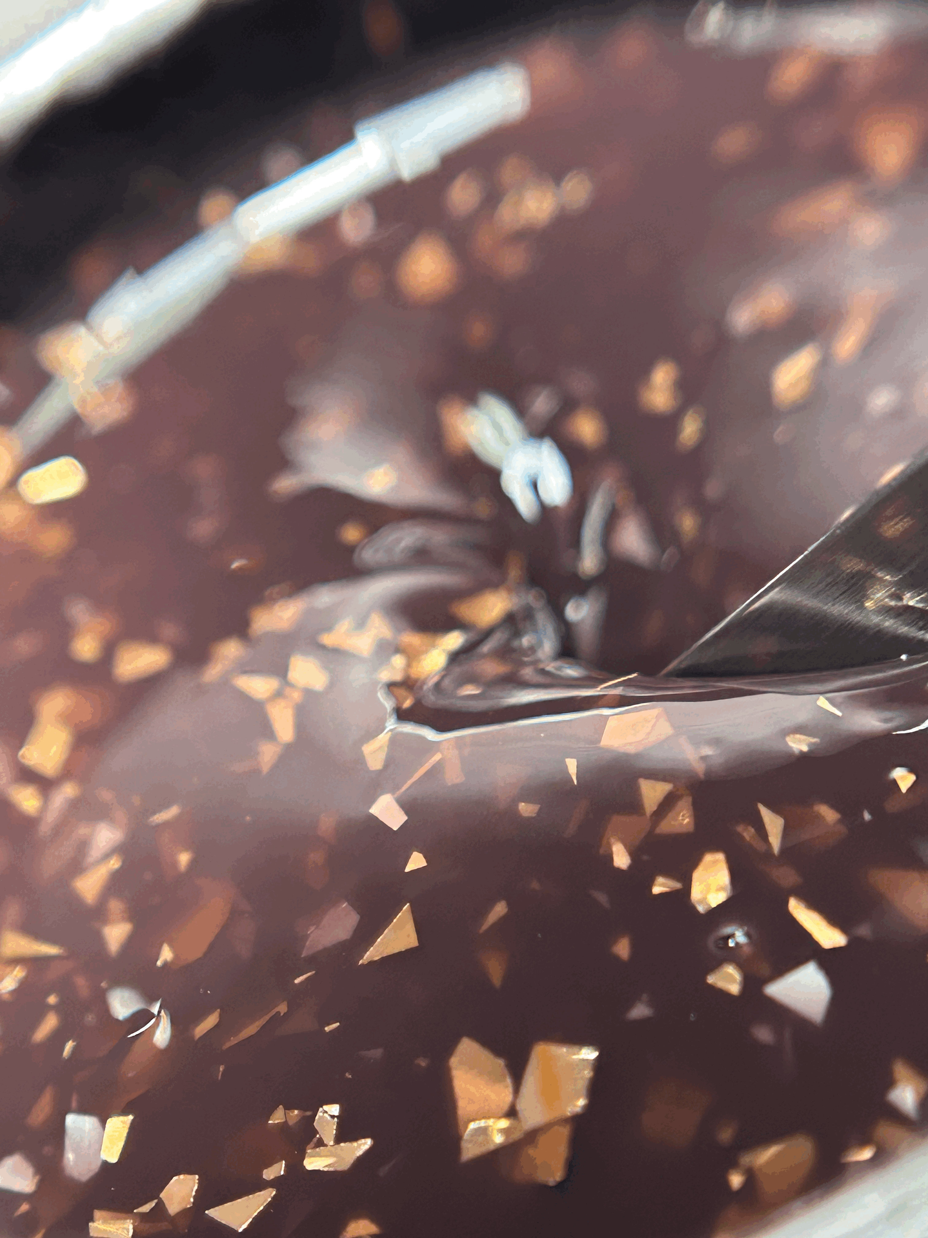 Tribal (SAVAGE COLLECTION)