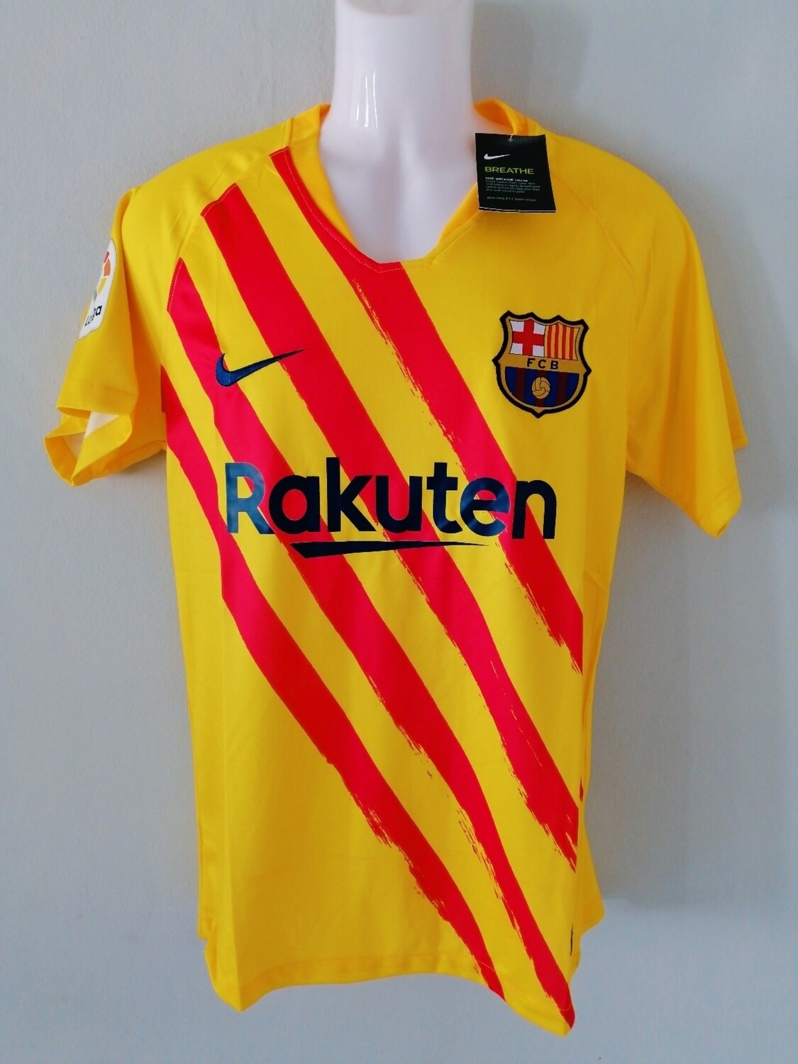 BARCELONA VISITA SENYERA 19/22