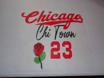 2 pc Chicago Chi-Town Iron On Heat Stamp w/Skeleton on Back SALE LIMITED TIME