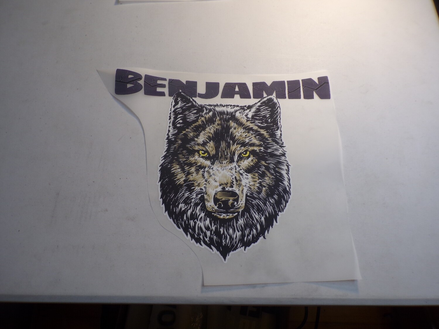 Benjamin Hot Stamp SALE LIMITED TIME