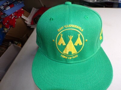 Official Tribe of Gad Snapback Irish Green