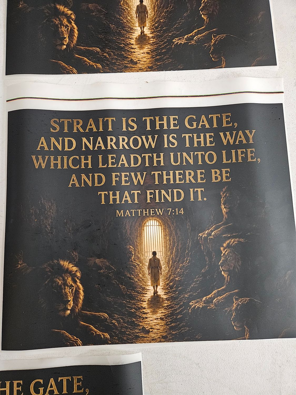 Strait is The Gate And Narrow Is The Way Which Leadth Unto Life, And Few Be There Be That Find It. Matthew 7:14