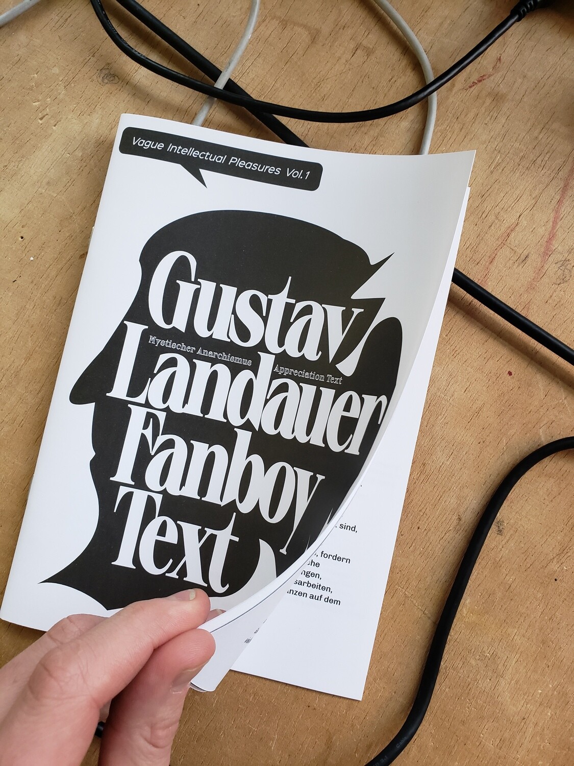 Gustav Landauer Fanboy Text