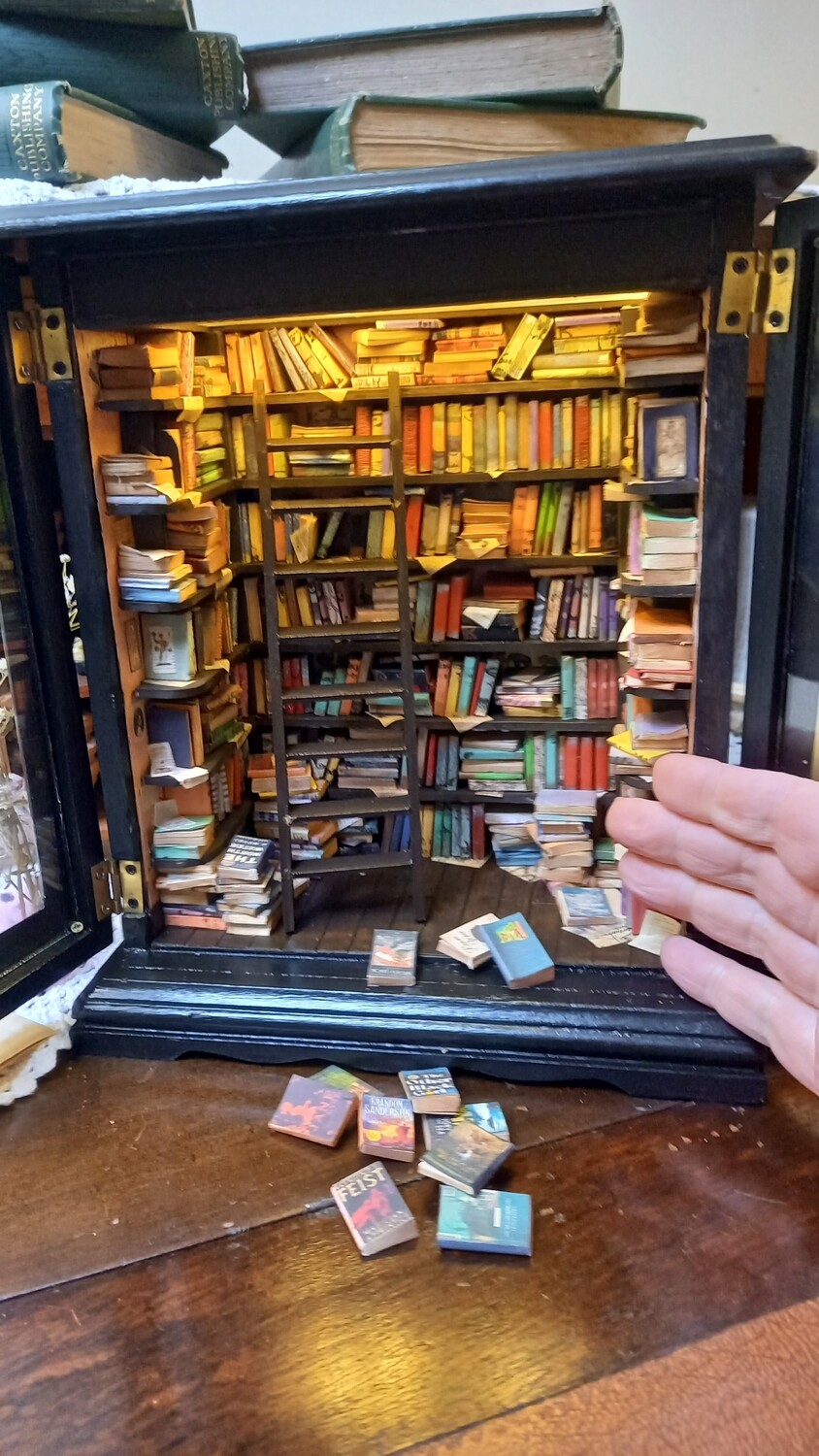 Miniature Library - Book Nook - Shadow Box