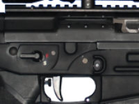 Sig 556 SBR Engraving