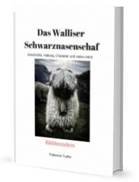 Buch Buch