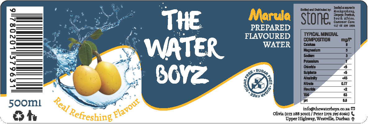 Label THE WATER BOYZ Carbonated MARULA flavoured mineral water 500ml