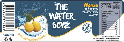 Label THE WATER BOYZ Carbonated MARULA flavoured mineral water 500ml