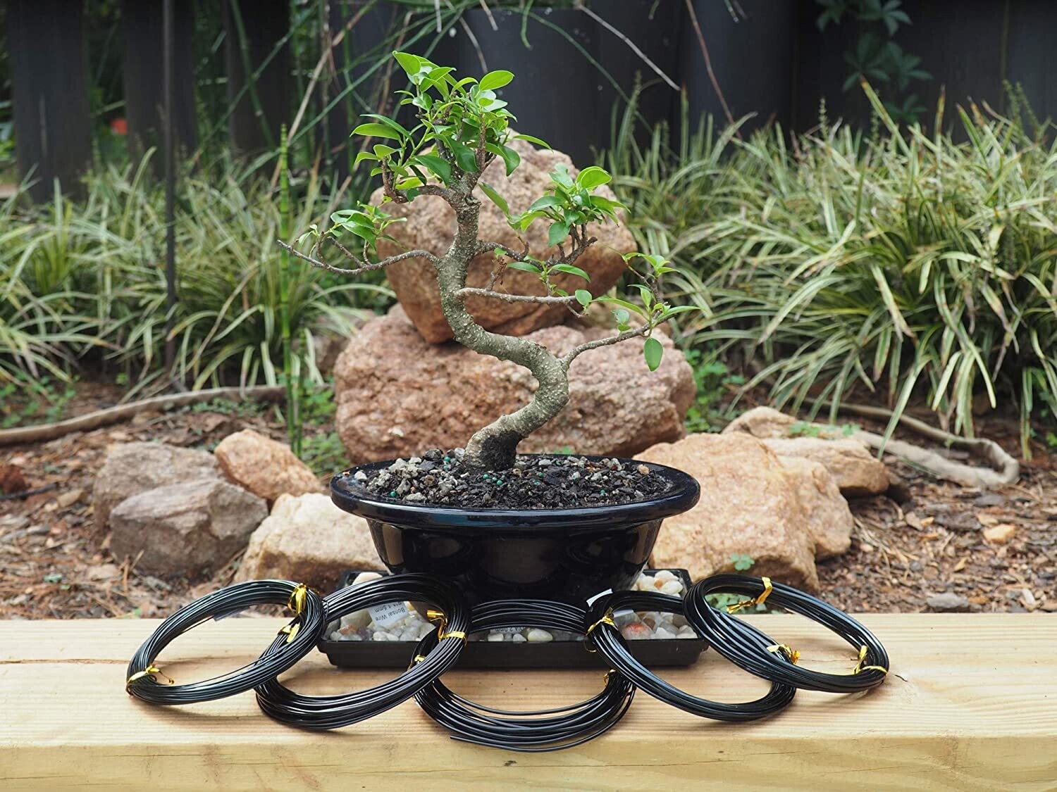 Bonsai formavimo vielos komplektas (1.0, 1.5, 2.0, 2.5, 3.0)