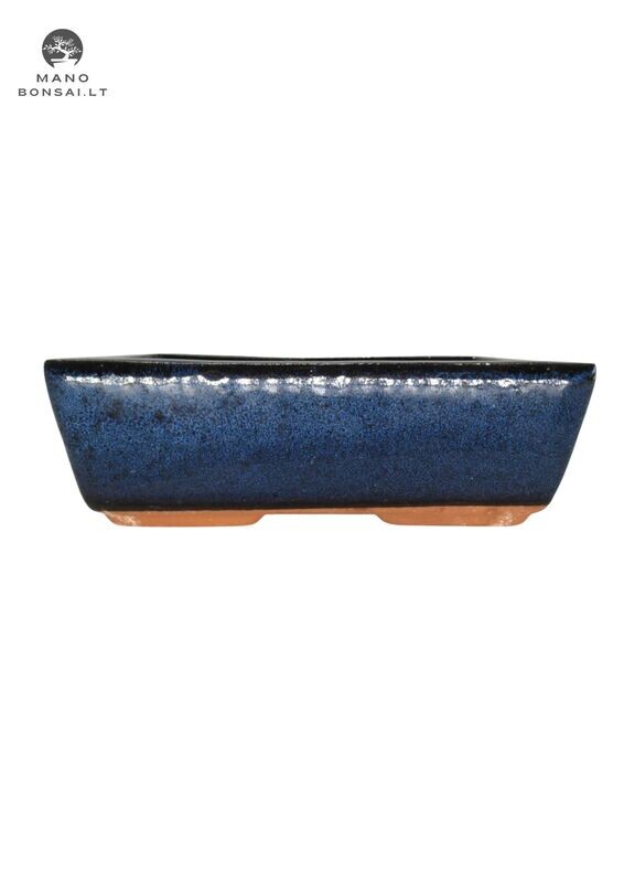 28cm Bonsai Vazonas