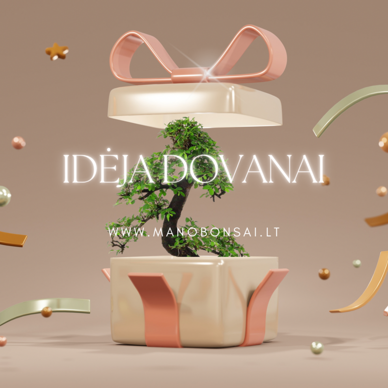 Idėjos dovanai
