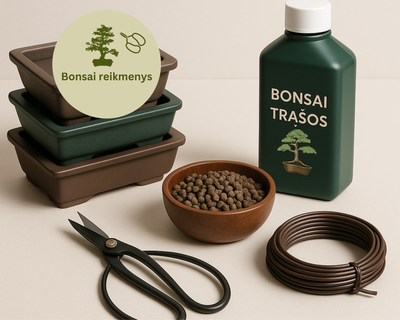 Bonsai Reikmenys