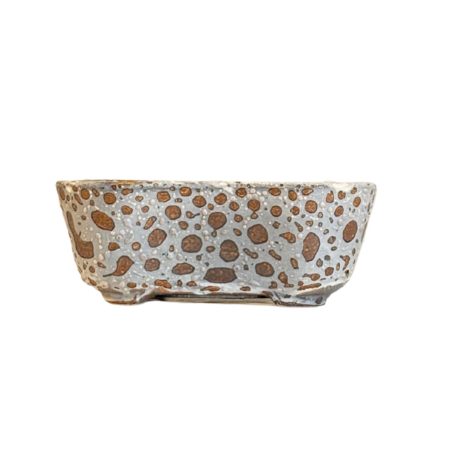 P18 margas bonsai vazonas