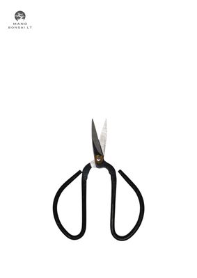 Bonsai žirklutės genėjimui