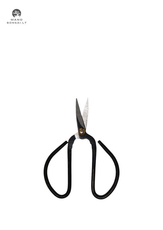 Bonsai žirklutės genėjimui