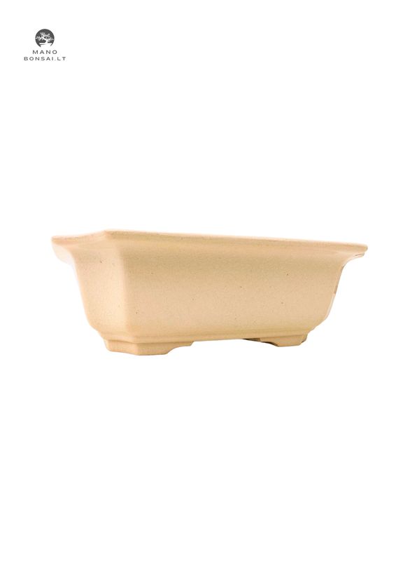Bonsai vazonas M P23