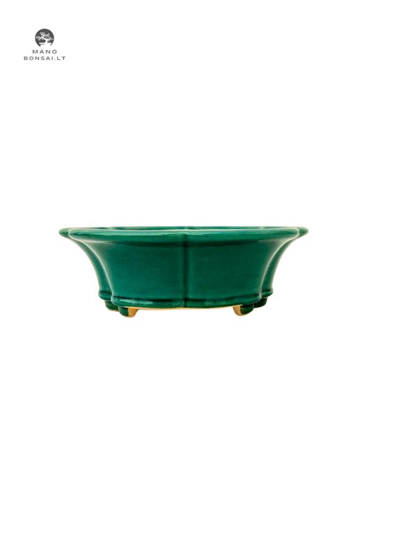 Apvalus glazuruotas bonsai vazonas P21