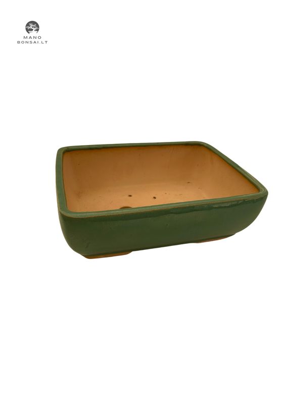 Glazuruotas bonsai vazonas M P35