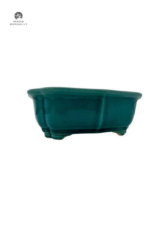 Glazuruotas bonsai vazonas P21.5