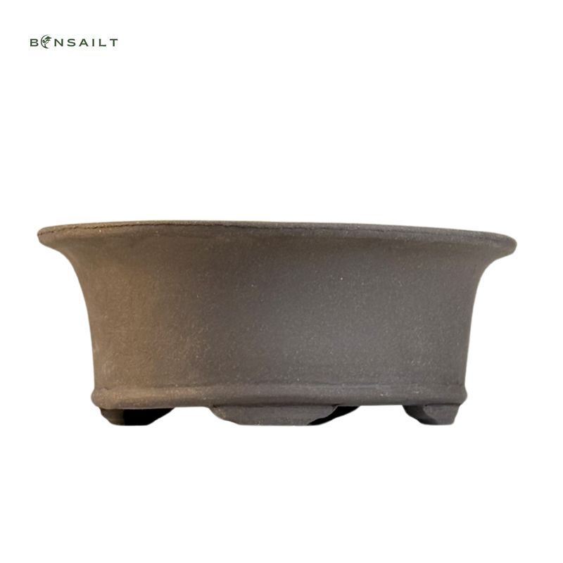 Ovalus Bonsai vazonas M