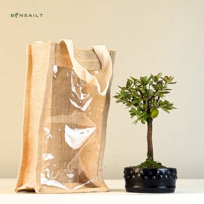 Azalija rožiniais žiedais (Rhododendron) bonsai P12