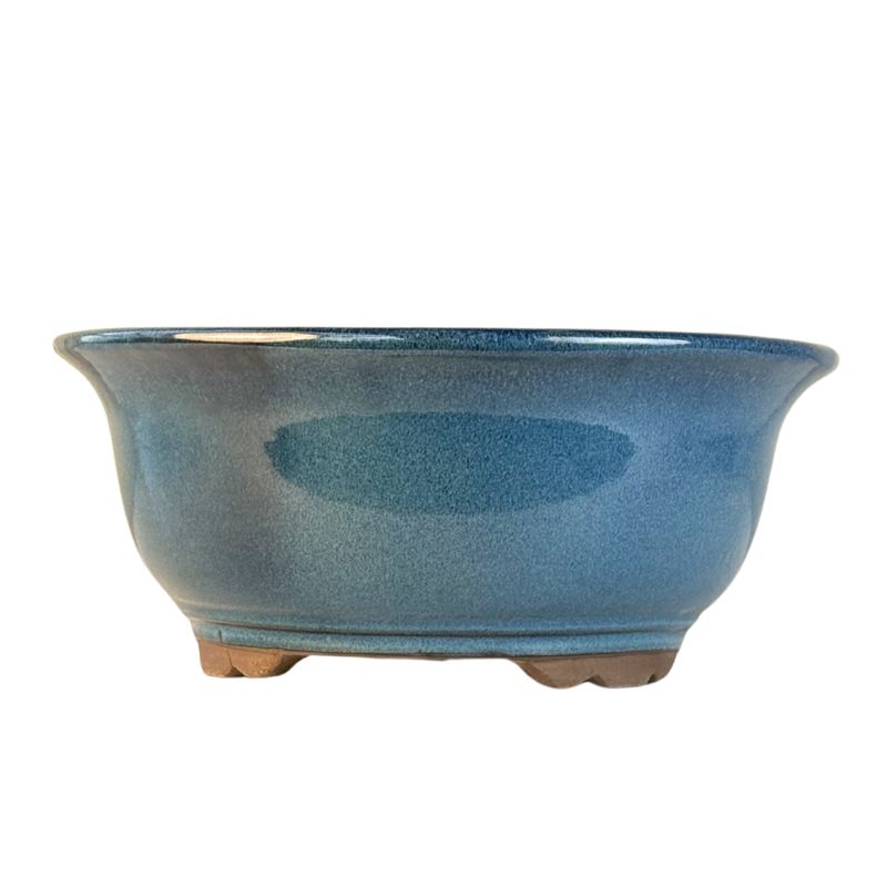 Glazuruotas Bonsai vazonas L P40,5