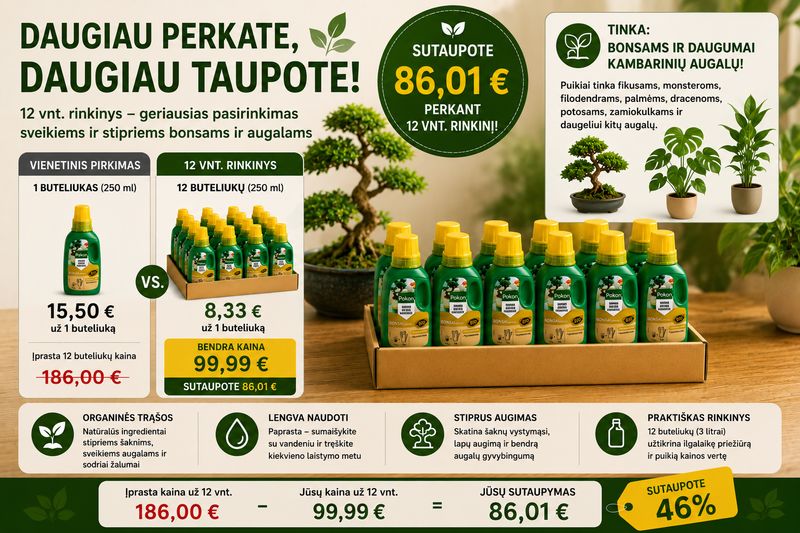 Pokon Bio Bonsai Trąšos 12x250 ml
