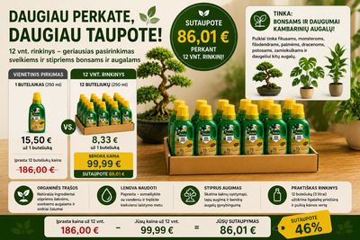 Pokon Bio Bonsai Trąšos 12x250 ml