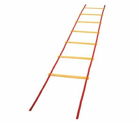 Training Speed Ladder