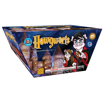 HAWGWARTS 500 GRAM CAKE