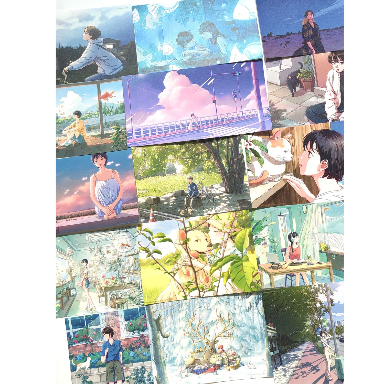 Studio toti丨Postcard丨（33 types）828556679247
