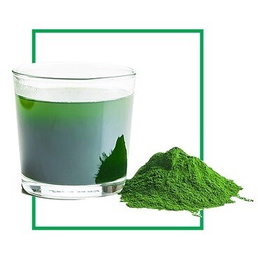 Organic Barley Grass Products