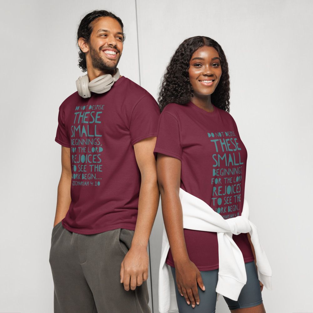 Do not despise small beginnings T-shirt