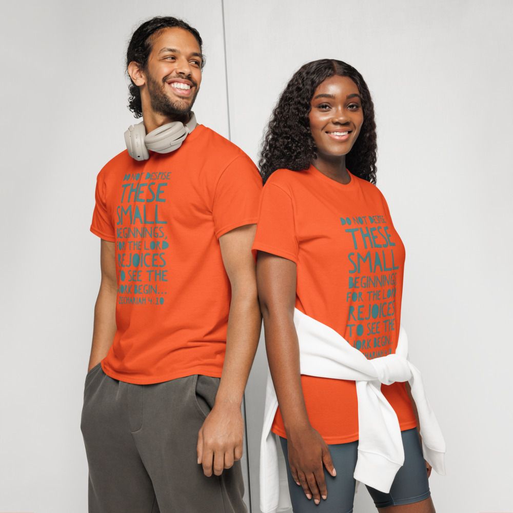 Do not despise small beginnings T-shirt