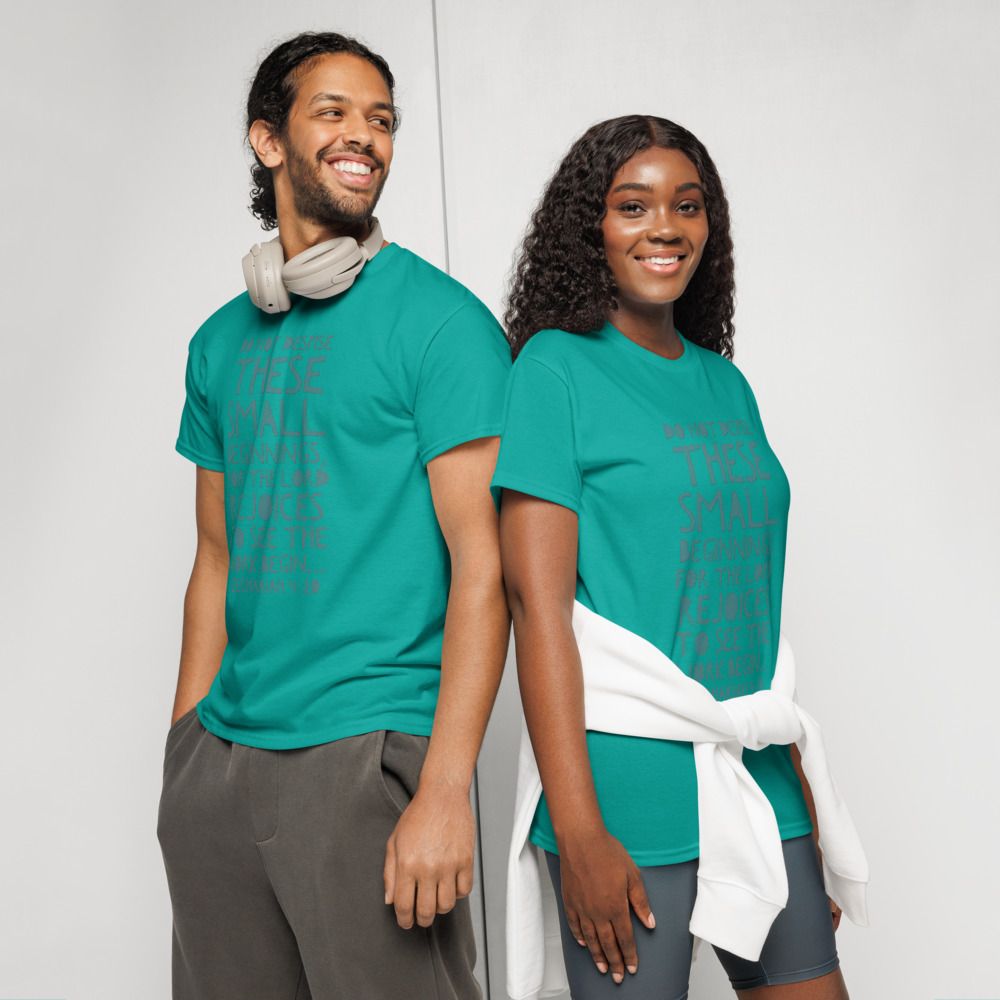 Do not despise small beginnings T-shirt
