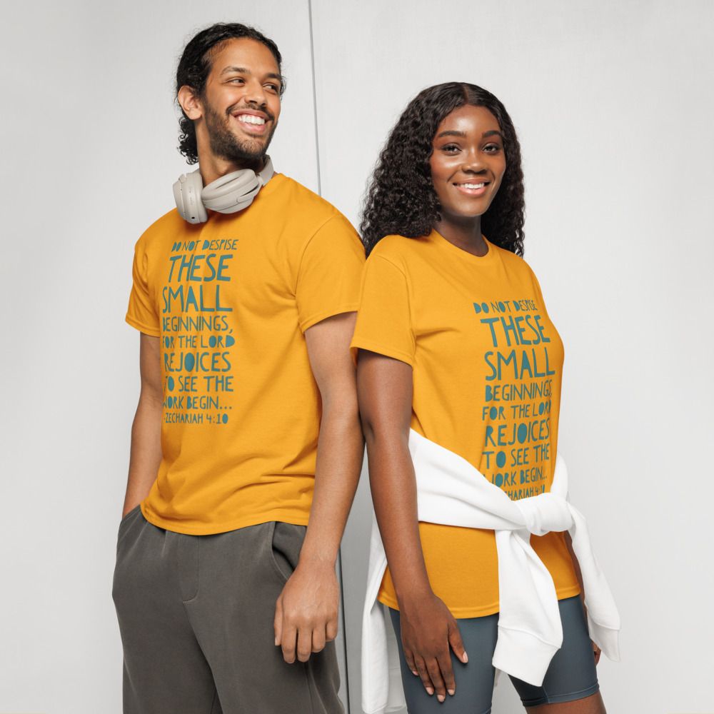 Do not despise small beginnings T-shirt