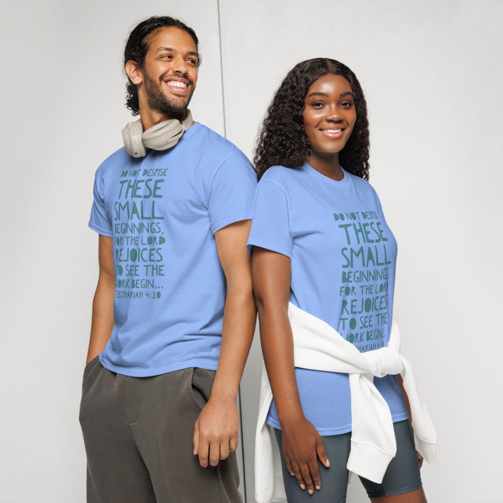 Do not despise small beginnings T-shirt