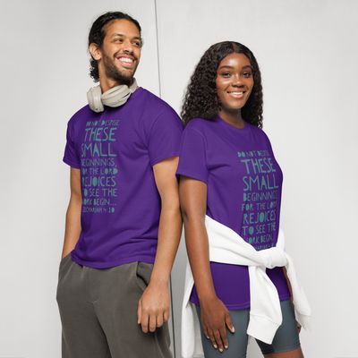 Do not despise small beginnings T-shirt