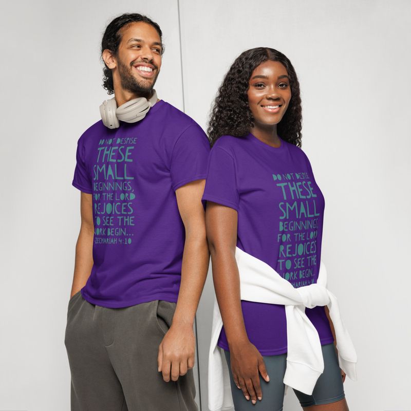 Do not despise small beginnings T-shirt
