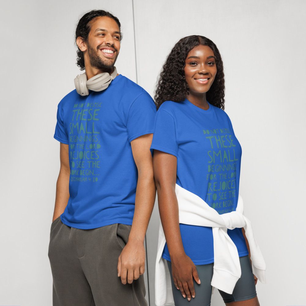 Do not despise small beginnings T-shirt