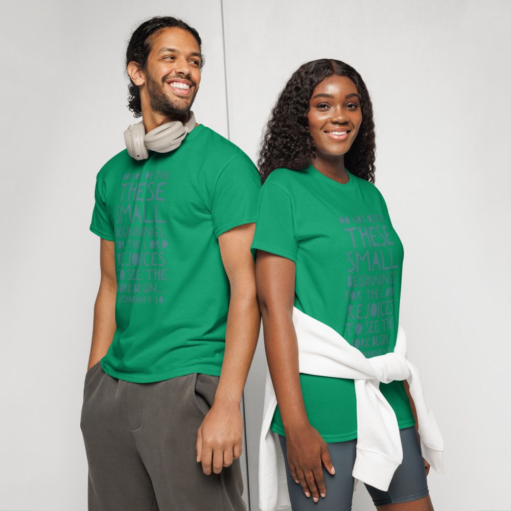 Do not despise small beginnings T-shirt