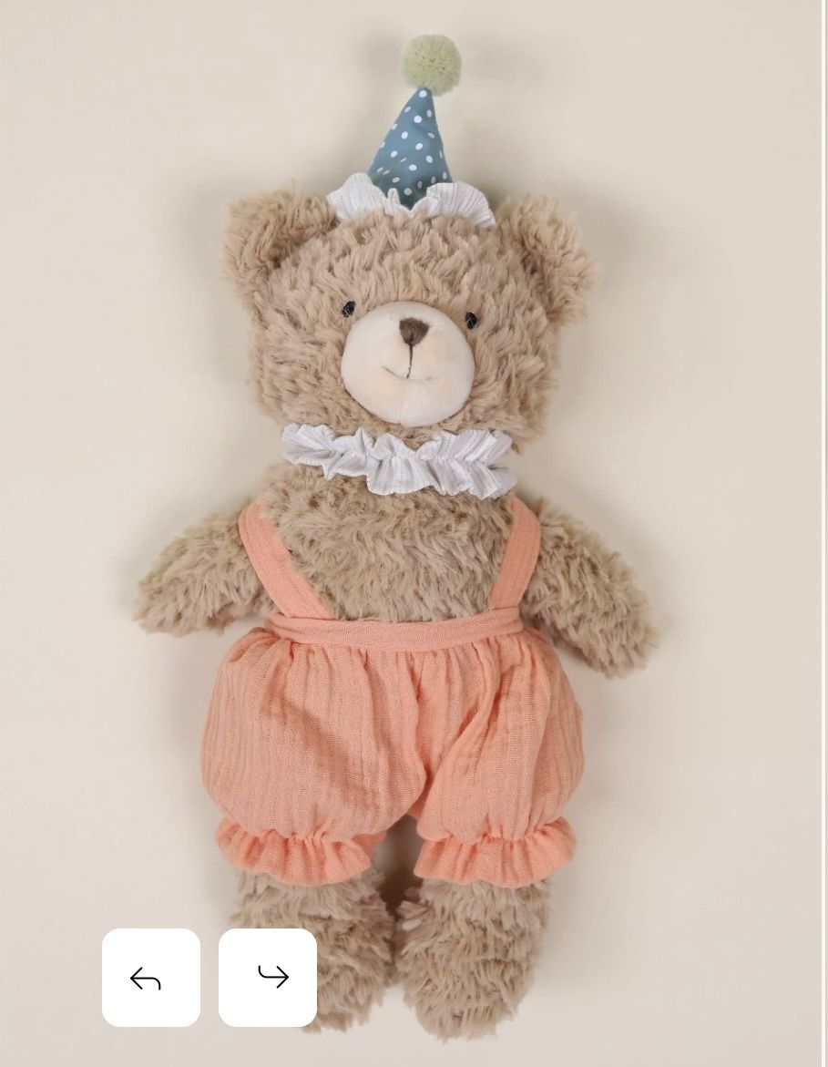 Bear Birthday Plush Toy